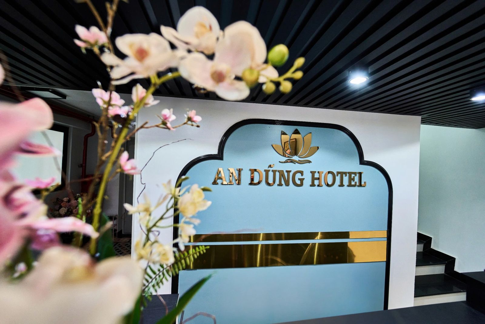 KHÁCH SẠN AN DŨNG – KỲ NGHỈ LÃNG MẠN CHO CẶP ĐÔI TẠI SẦM SƠN